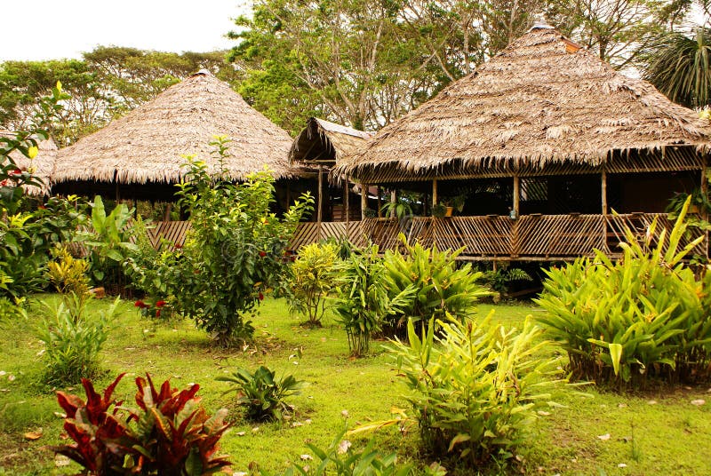 Il Perù, paesaggio peruviano dell'Amazonas. Lo stabilimento indiano tipico delle tribù del presente della foto in Amazon immagini stock Il Perù, paesaggio peruviano dell'Amazonas. Lo stabilimento indiano tipico delle tribù del presente della foto in Amazon immagini stock