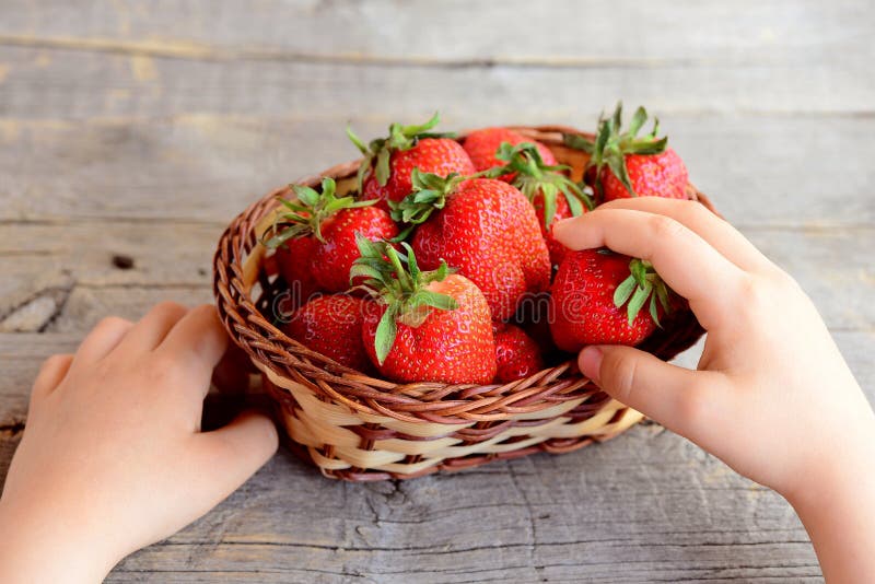 Il piccolo bambino prende la singola fragola da un canestro di vimini Scherza l'alimento sano Fragole rosse mature in un canestro fotografia stock libera da diritti Il piccolo bambino prende la singola fragola da un canestro di vimini Scherza l'alimento sano Fragole rosse mature in un canestro fotografia stock libera da diritti