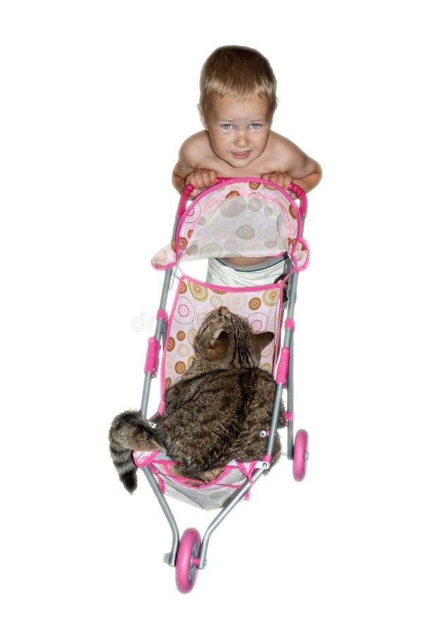 Il piccolo bambino rotola il suo grande gatto in un piccolo passeggiatore del giocattolo del bambino fotografia stock Il piccolo bambino rotola il suo grande gatto in un piccolo passeggiatore del giocattolo del bambino fotografia stock