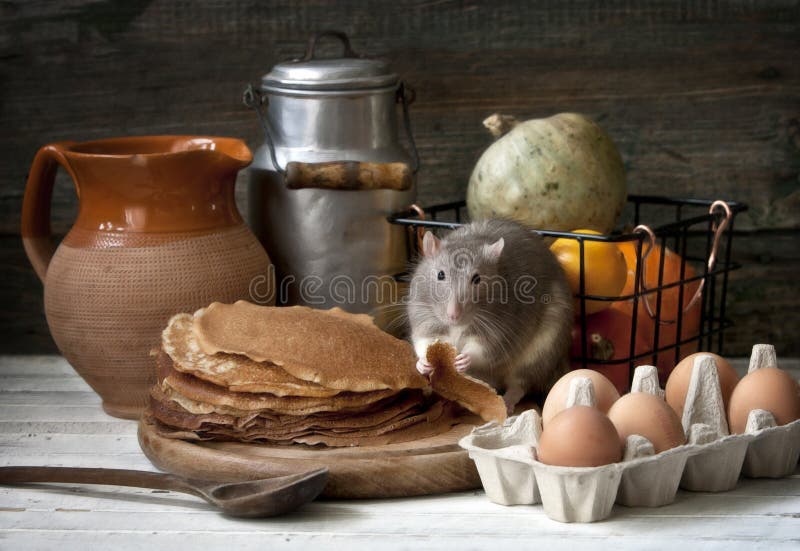 Il piccolo ratto grigio sveglio mangia i pancake casalinghi Composizione in natura morta nello stile d'annata con il ratto in ten immagini stock libere da diritti Il piccolo ratto grigio sveglio mangia i pancake casalinghi Composizione in natura morta nello stile d'annata con il ratto in ten immagini stock libere da diritti