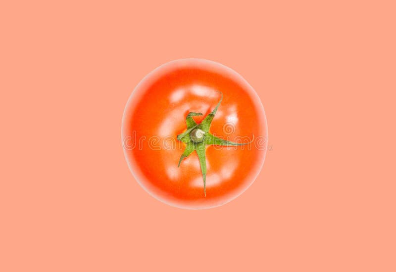 Il pomodoro levita in aria su fondo pastello rosa Concetto di levitazione di verdure immagine stock libera da diritti Il pomodoro levita in aria su fondo pastello rosa Concetto di levitazione di verdure immagine stock libera da diritti