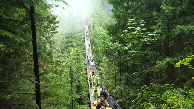 Il ponte sospeso di Capilano archivi video Il ponte sospeso di Capilano archivi video