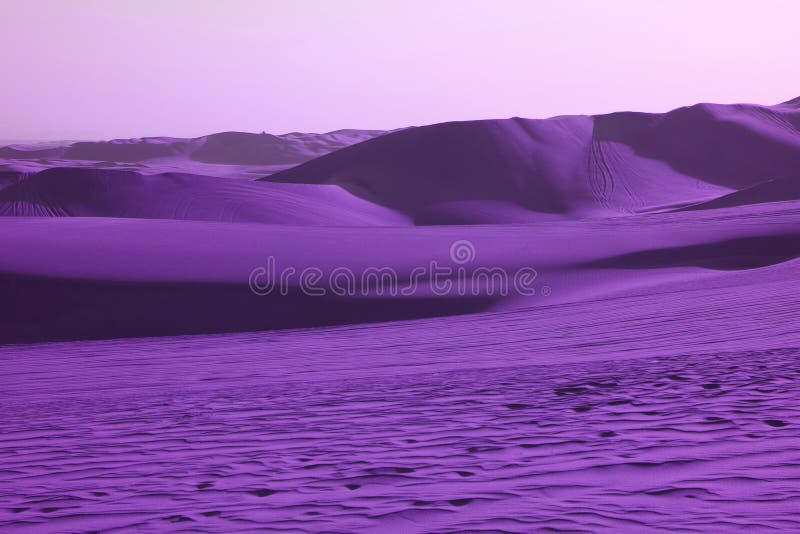 Il Pop art surreale ha disegnato il deserto colorato porpora vibrante con le ondulazioni della sabbia e le dune di sabbia fantast fotografie stock libere da diritti Il Pop art surreale ha disegnato il deserto colorato porpora vibrante con le ondulazioni della sabbia e le dune di sabbia fantast fotografie stock libere da diritti