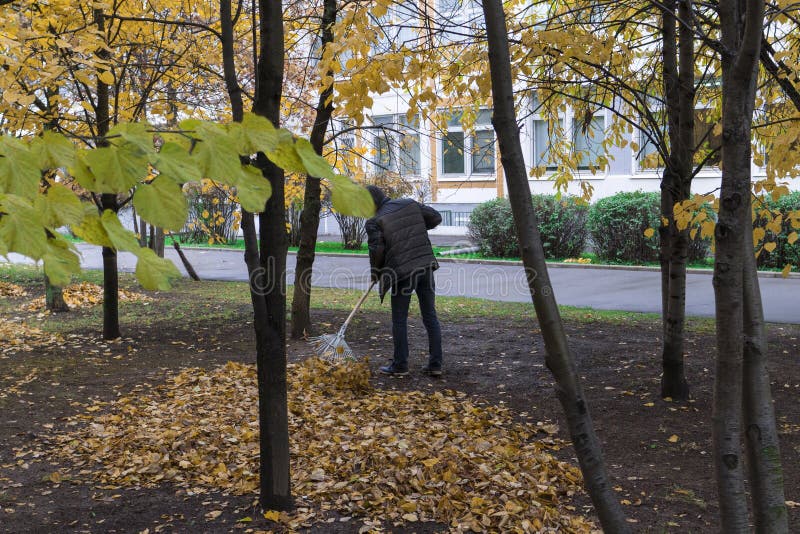 Janitor removes fallen leaves in the courtyard of the school. Janitor removes fallen leaves in the courtyard of the school