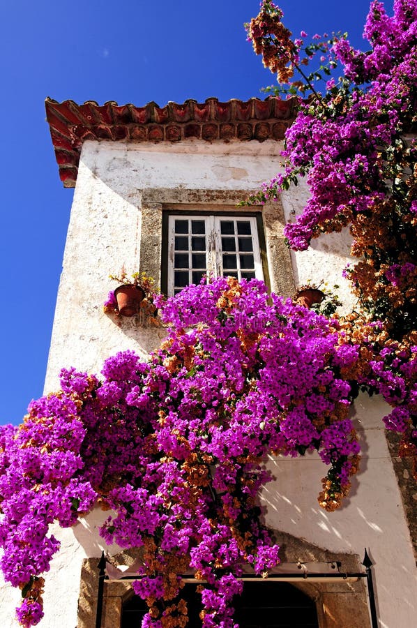 Il Portogallo Obidos; una città medioevale fotografia stock Il Portogallo Obidos; una città medioevale fotografia stock