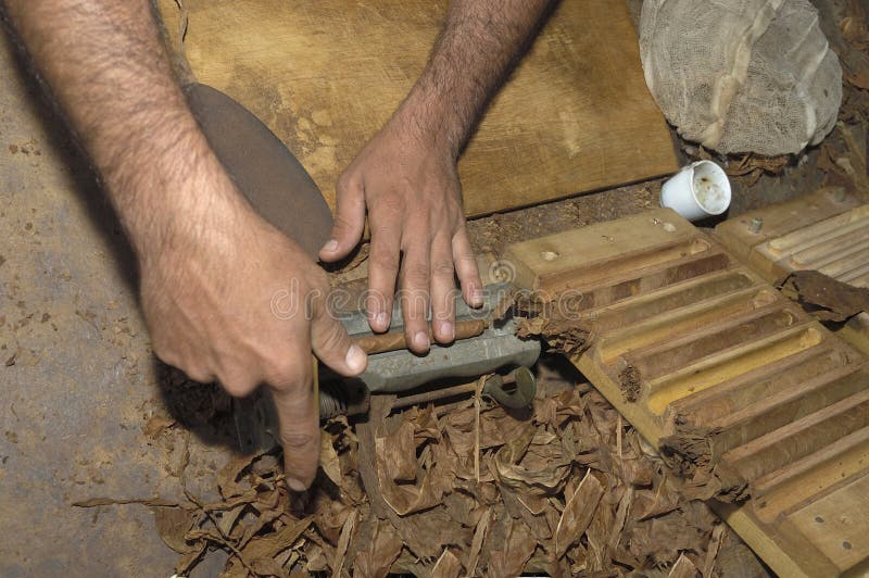 Il primo piano delle mani che fanno il sigaro dal tabacco va fotografia stock Il primo piano delle mani che fanno il sigaro dal tabacco va fotografia stock