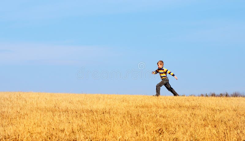 Il ragazzino che salta per la gioia su un prato fotografia stock libera da diritti Il ragazzino che salta per la gioia su un prato fotografia stock libera da diritti