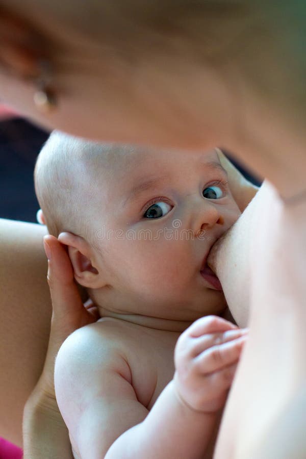 Il ritratto sveglio di allattamento al seno del neonato, madre è preoccupantesi e curante il suo infante con amore nelle sue armi immagini stock libere da diritti Il ritratto sveglio di allattamento al seno del neonato, madre è preoccupantesi e curante il suo infante con amore nelle sue armi immagini stock libere da diritti