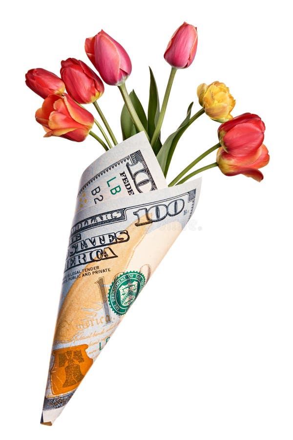 Il sacco di carta su cento dollari con il tulipano variopinto fiorisce fotografie stock libere da diritti Il sacco di carta su cento dollari con il tulipano variopinto fiorisce fotografie stock libere da diritti