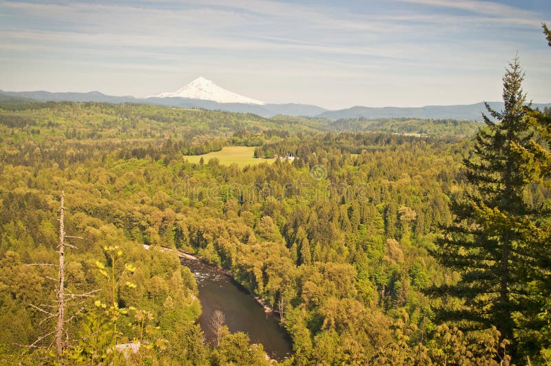 Il Sandy River Valley Oregon Immagine Stock Immagine di gola, foresta