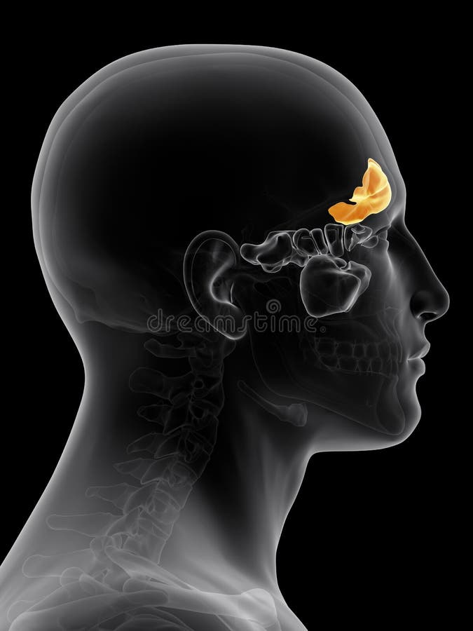 Neti Pot In Ceramica Senza Piombo - Lavaggio Nasale Naturale Per Congestione E Sinusite - Foto 3