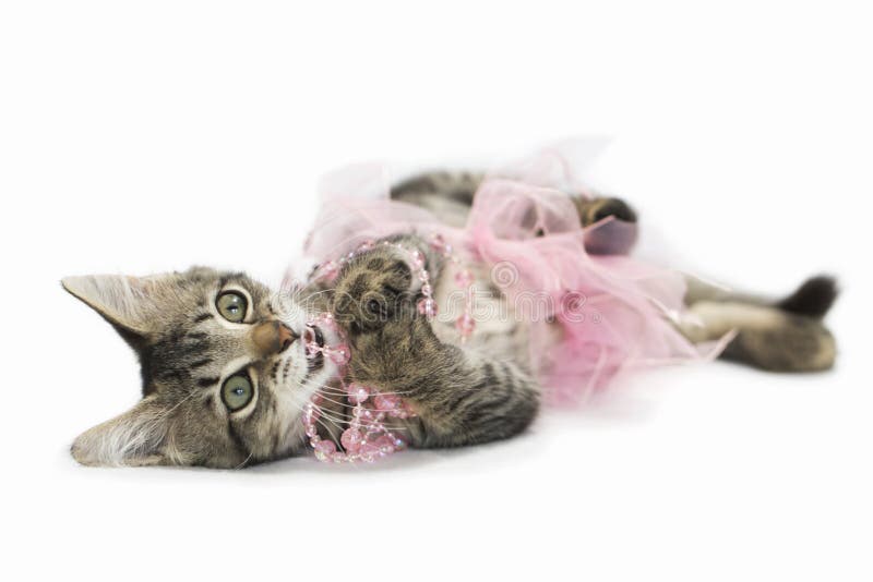 Il tabellone marrone imbranato sulle perle rosa e la gonna rosa tutu fotografie stock libere da diritti