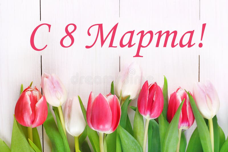 Il testo nel Russo: dall'8 marzo Giorno internazionale del ` s delle donne Tulipani su una tavola di legno bianca immagine stock Il testo nel Russo: dall'8 marzo Giorno internazionale del ` s delle donne Tulipani su una tavola di legno bianca immagine stock