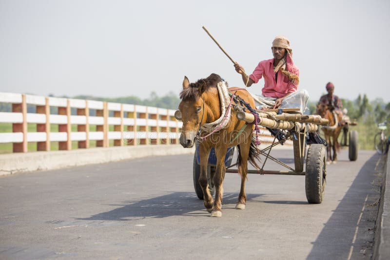 Il trasporto del cavallo ha chiamato Taana nella cultura del Bangladesh in Dacca, Bangladesh, Asia fotografie stock Il trasporto del cavallo ha chiamato Taana nella cultura del Bangladesh in Dacca, Bangladesh, Asia fotografie stock