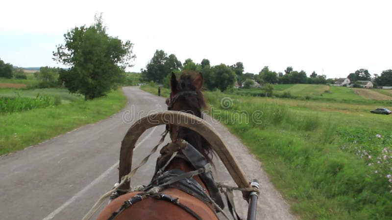 Il trasporto del cavallo porta il carretto della ruota del cablaggio, strada del villaggio