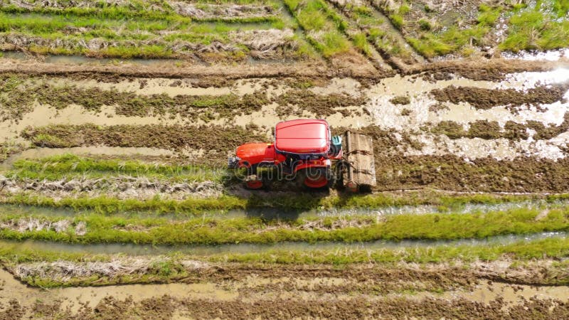 Il trattore arpa il terreno per la semina di riso.