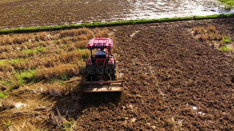 Il trattore arpa il terreno per la semina di riso.