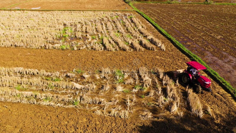 Il trattore arpa il terreno. preparazione del terreno per la semina del riso.