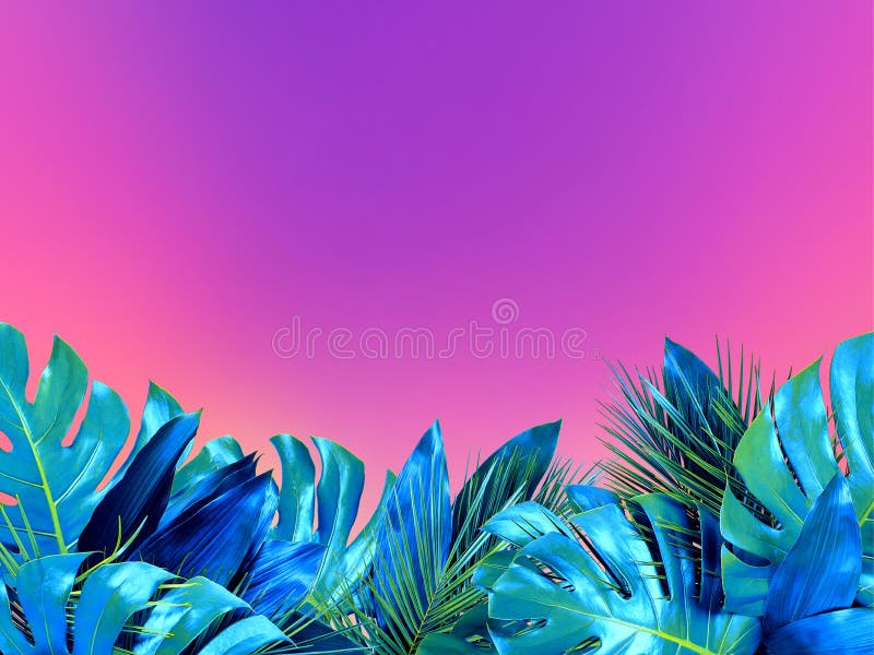 Il turchese d'avanguardia ha colorato vicino su di varie foglie tropicali sul fondo viola luminoso e di rosa