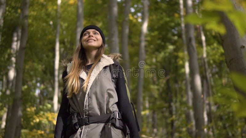 Il turista sorridente gira intorno in foresta