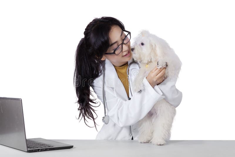 Il veterinario grazioso controlla il piede del cane fotografie stock libere da diritti Il veterinario grazioso controlla il piede del cane fotografie stock libere da diritti