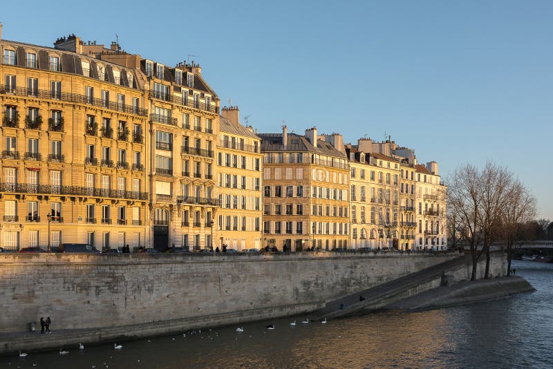 Ile St Louis, Paris image éditorial. Image du gargouille 81868960