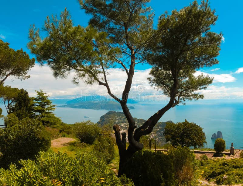 A ilha bonita de Capri imagens de stock A ilha bonita de Capri imagens de stock