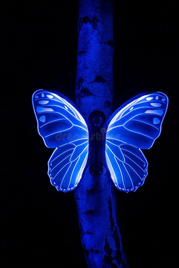 Illuminated Blue Fluorescent Butterfly on a Tree on the Dark Background