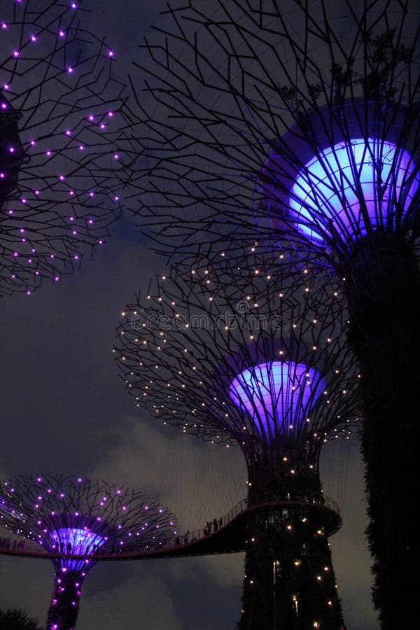 Illuminated Botanical Gardens by the Bay Singapore royalty free stock image