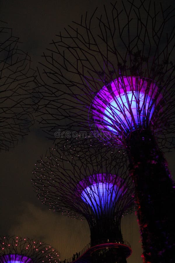 Illuminated Botanical Gardens by the Bay Singapore stock photography
