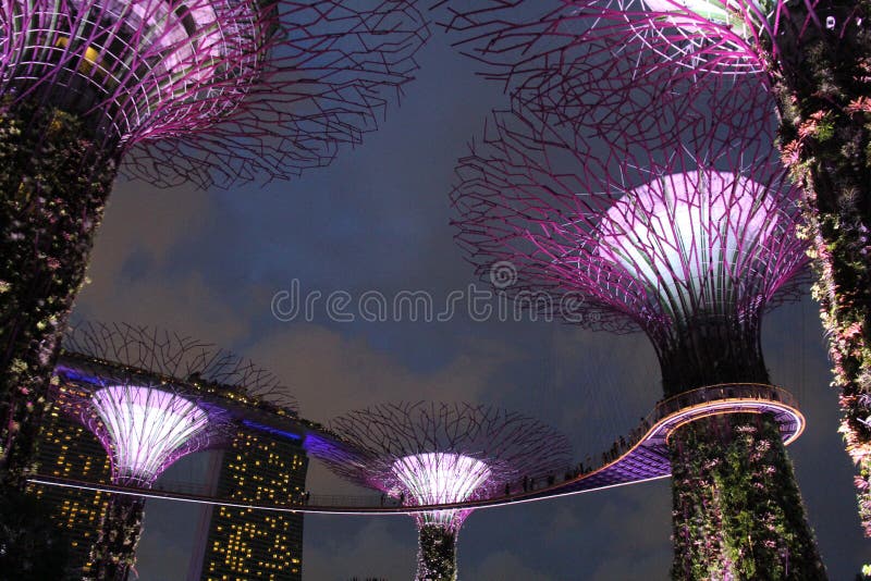 Illuminated Botanical Gardens by the Bay Singapore stock photo
