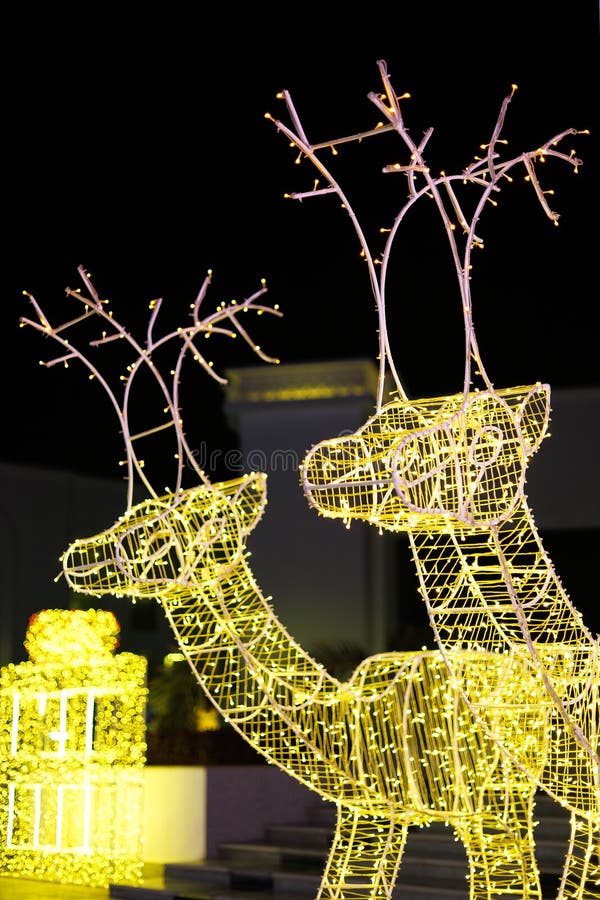 Illuminated reindeer sculptures with twinkling lights at night royalty free stock image