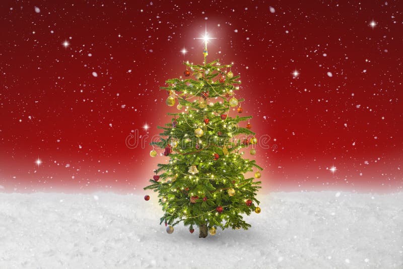 Illuminated Star on Christmas Tree and Zoomed in Lights. Double Xposure