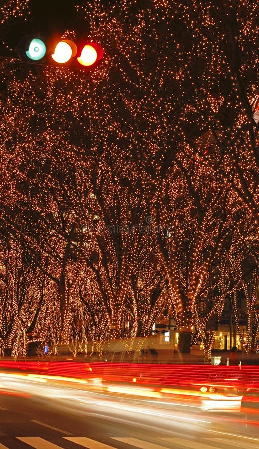 Illuminazione f di Sendai dicembre
