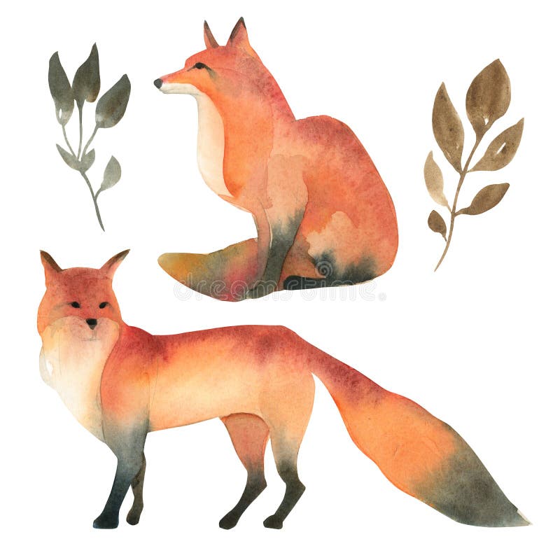 Illustartion da aquarela do isolado selvagem vermelho da raposa no fundo branco Esboço animal da floresta realística ilustração stock Illustartion da aquarela do isolado selvagem vermelho da raposa no fundo branco Esboço animal da floresta realística ilustração stock