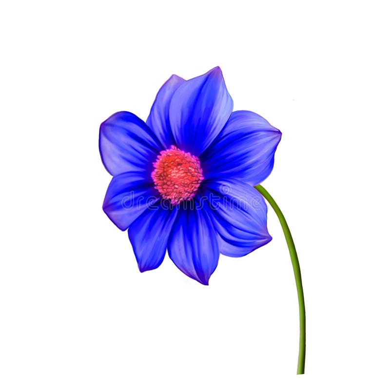 Illustratie van Heldere kleurrijke Dahliabloem