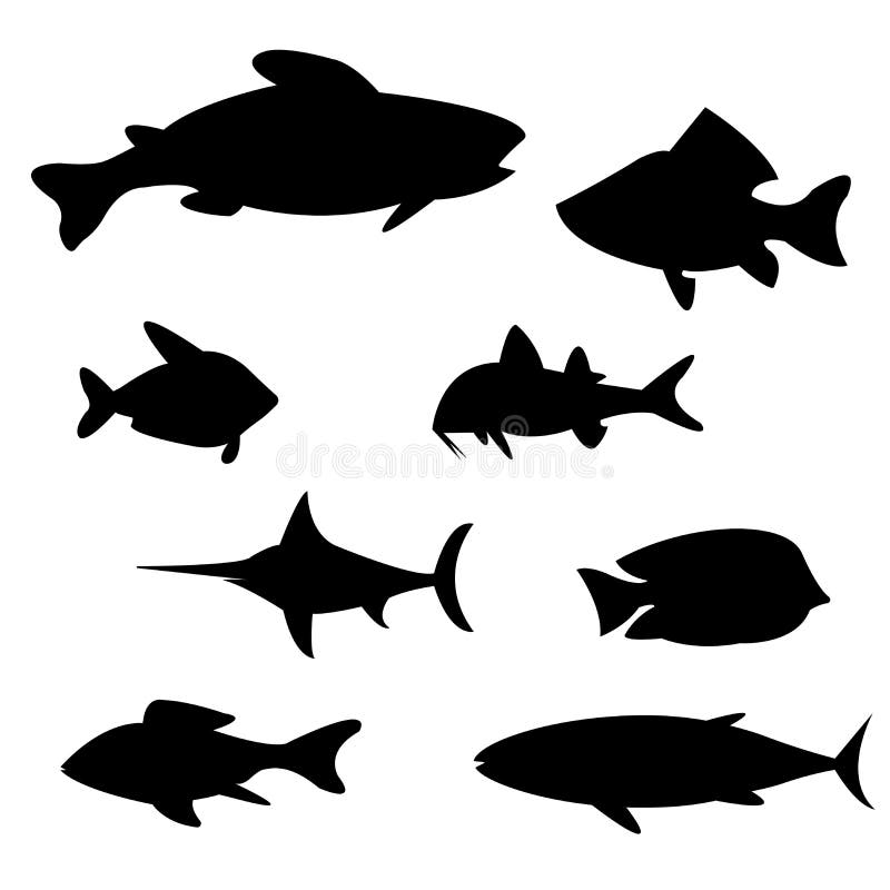 Illustratievector van verschillende soorten Vissen vector illustratie Illustratievector van verschillende soorten Vissen vector illustratie