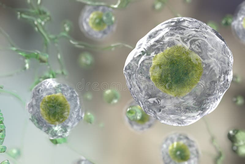 Illustratiion delle cellule umane illustrazione di stock Illustratiion delle cellule umane illustrazione di stock