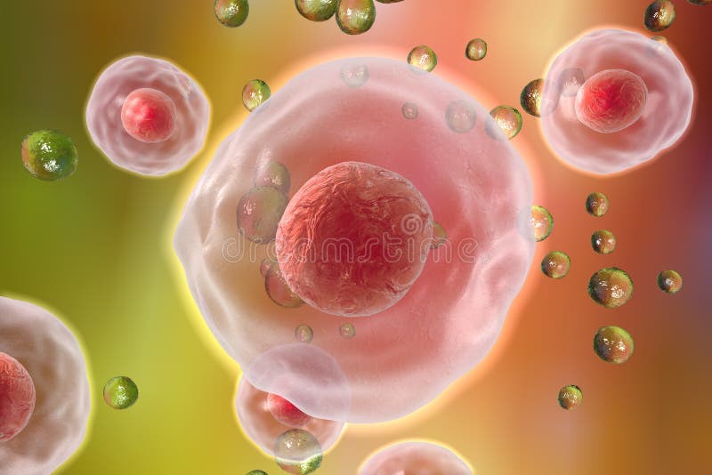 Illustratiion delle cellule umane illustrazione di stock Illustratiion delle cellule umane illustrazione di stock