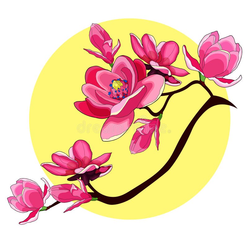 Illustratio decorativo del vector del jardín rojo de la flor de la magnolia de la rama stock de ilustración Illustratio decorativo del vector del jardín rojo de la flor de la magnolia de la rama stock de ilustración