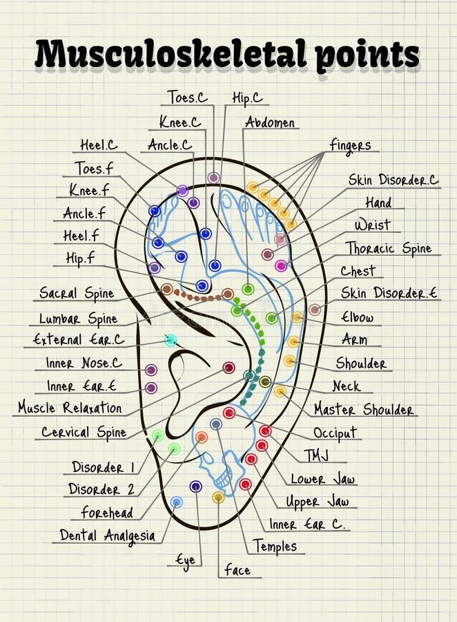 Illustration Acupuncture Points On The Human Ear Stock Vector Biology Diagrams