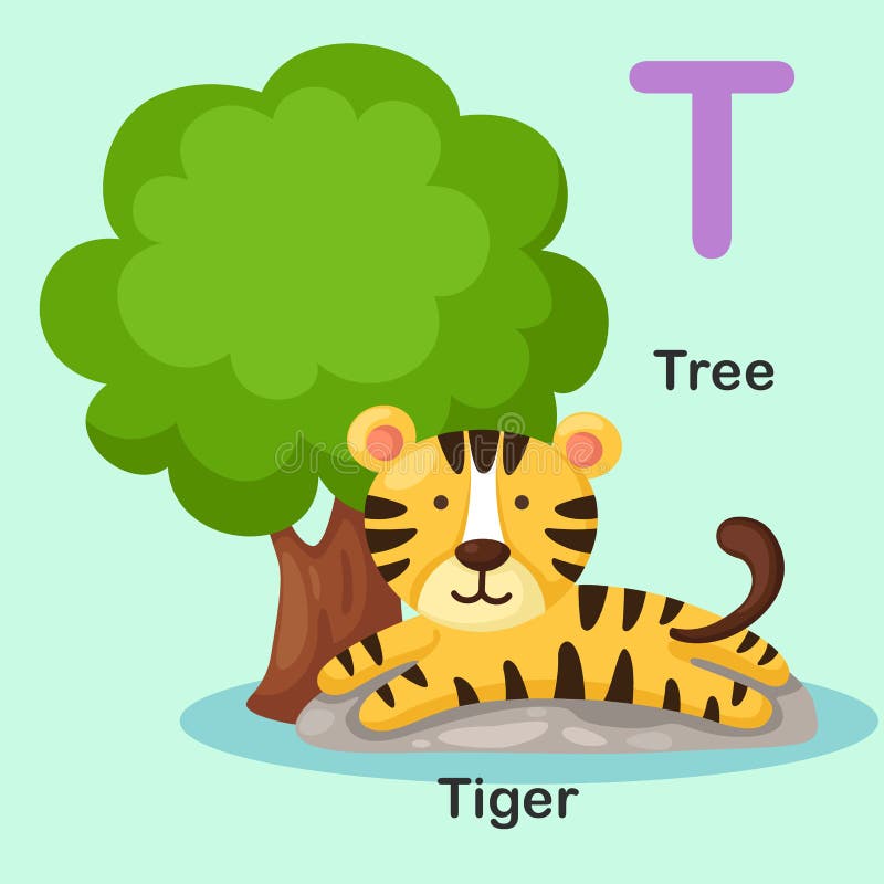 Illustration Animal Alphabet Letter T-Tree,Tiger