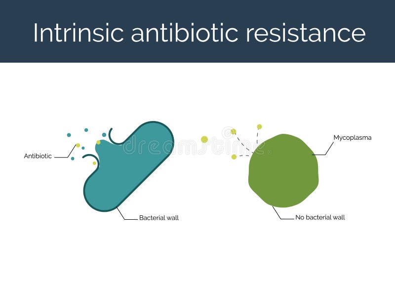 Illustration antibiotique intrinsèque de vecteur de résistance illustration libre de droits Illustration antibiotique intrinsèque de vecteur de résistance illustration libre de droits