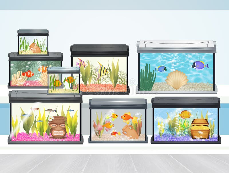 fish tank shop