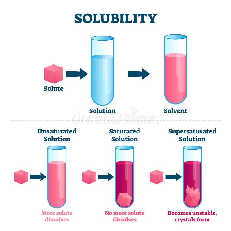 Solubility vector illustration. Labeled educational solute, solvent and solution scheme. Chemistry and physics experimental substance forms diagram from dissolved to unstable crystals state reactions. Solubility vector illustration. Labeled educational solute, solvent and solution scheme. Chemistry and physics experimental substance forms diagram from dissolved to unstable crystals state reactions.