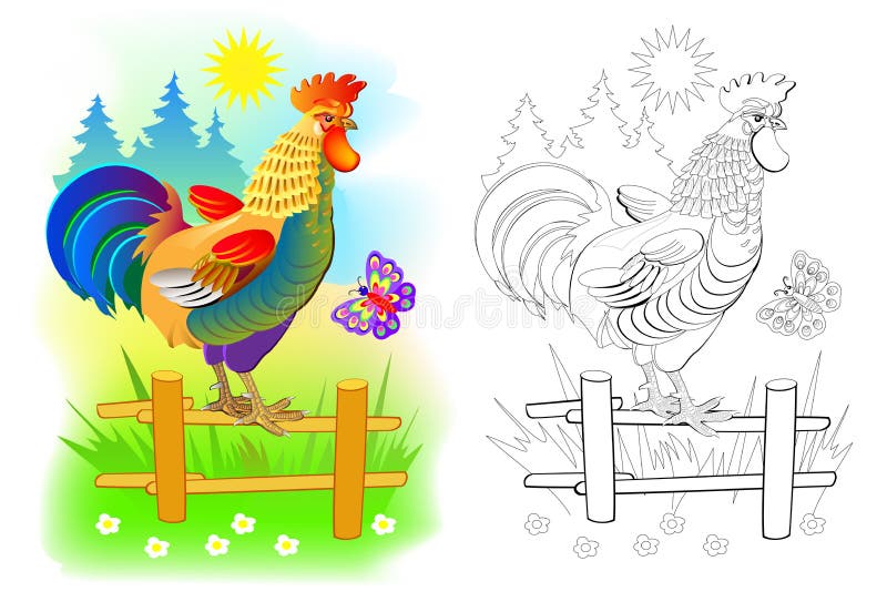 Illustration av söt rooster vid soluppgång Färgsida och vit sida för barnens färgbok Nackkuk för husdjur royaltyfri illustrationer