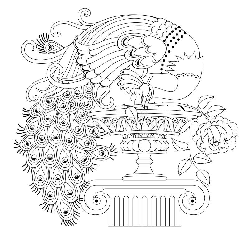 Illustration of beautiful peacock with rose and antique vase. Black and white page for kids coloring book.