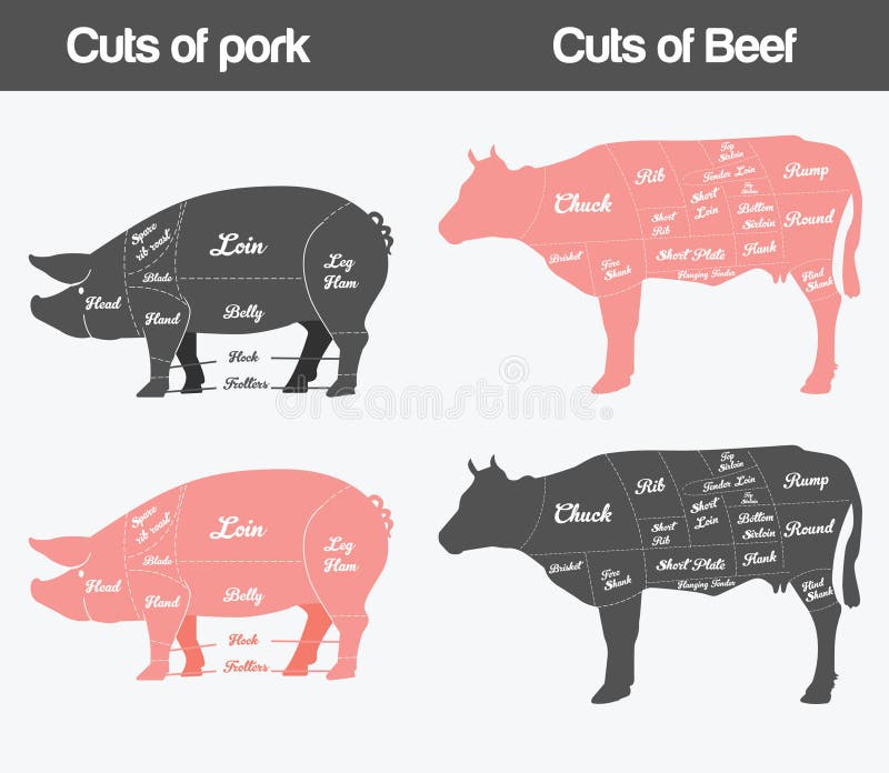 Hog Meat Cuts Chart