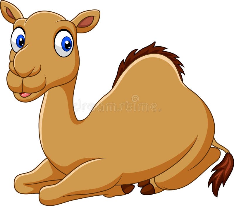 Cartoon Funny Camel Sitting Stock Vector - Illustration of child,  character: 137789946