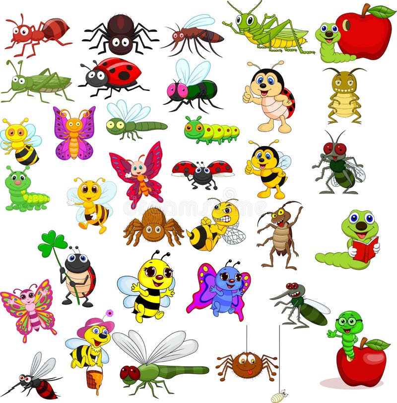 Cartoon insects collection set vector illustration Cartoon insects collection set vector illustration